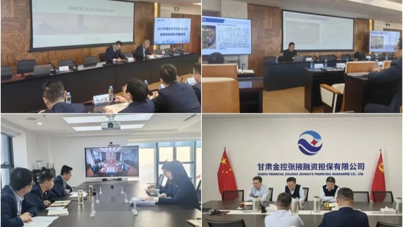 甘肅金控集團舉辦2025年度協(xié)同項目推進會暨協(xié)同風險防控專題培訓